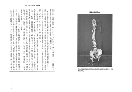 背骨の骨格標本